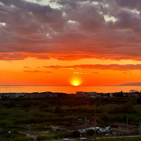 Ciriapples * جريسوليا